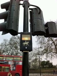 Lundberg-London-traffic-light-January-2011